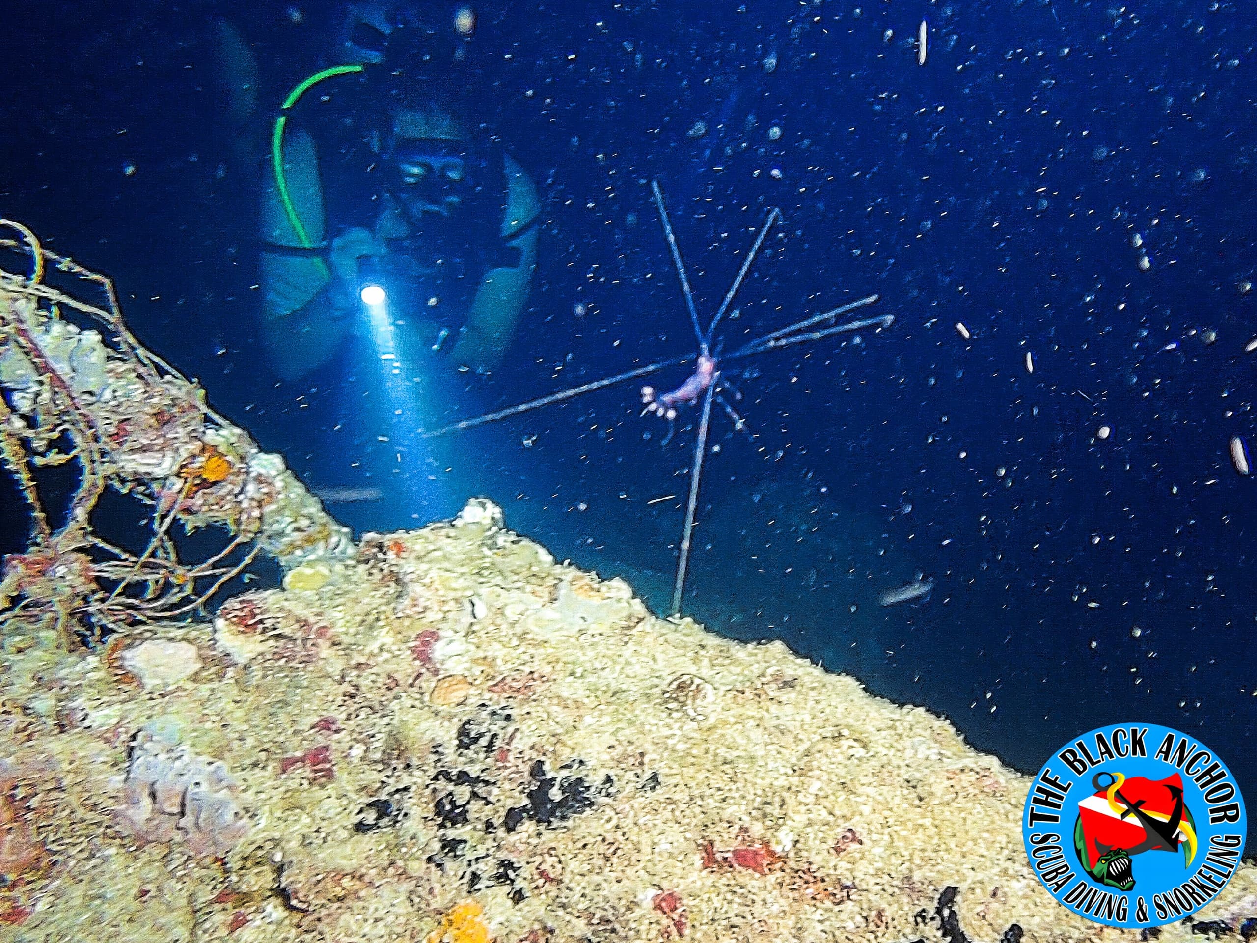 The Black Anchor Scuba Diving & Snorkeling team