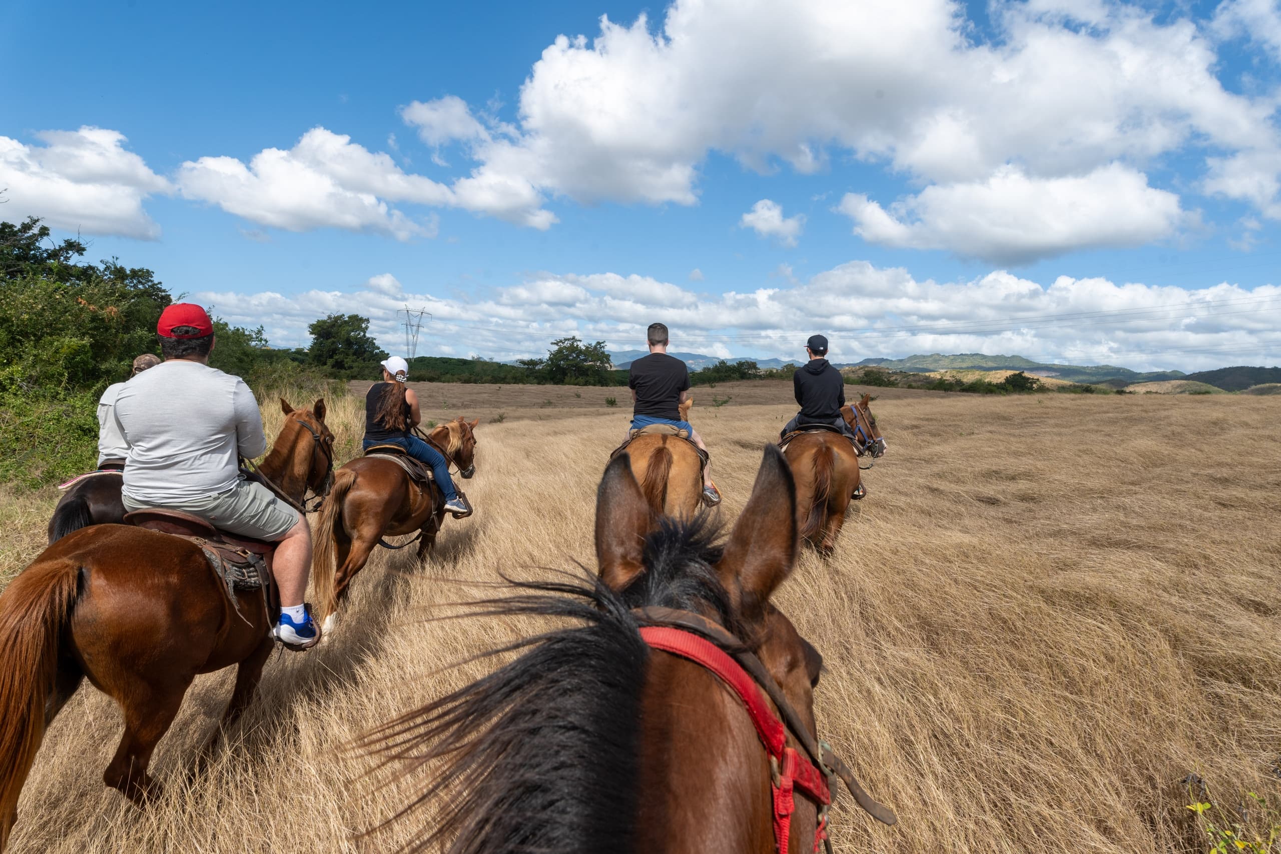 Guided horseback trail ride through open fields from saddle