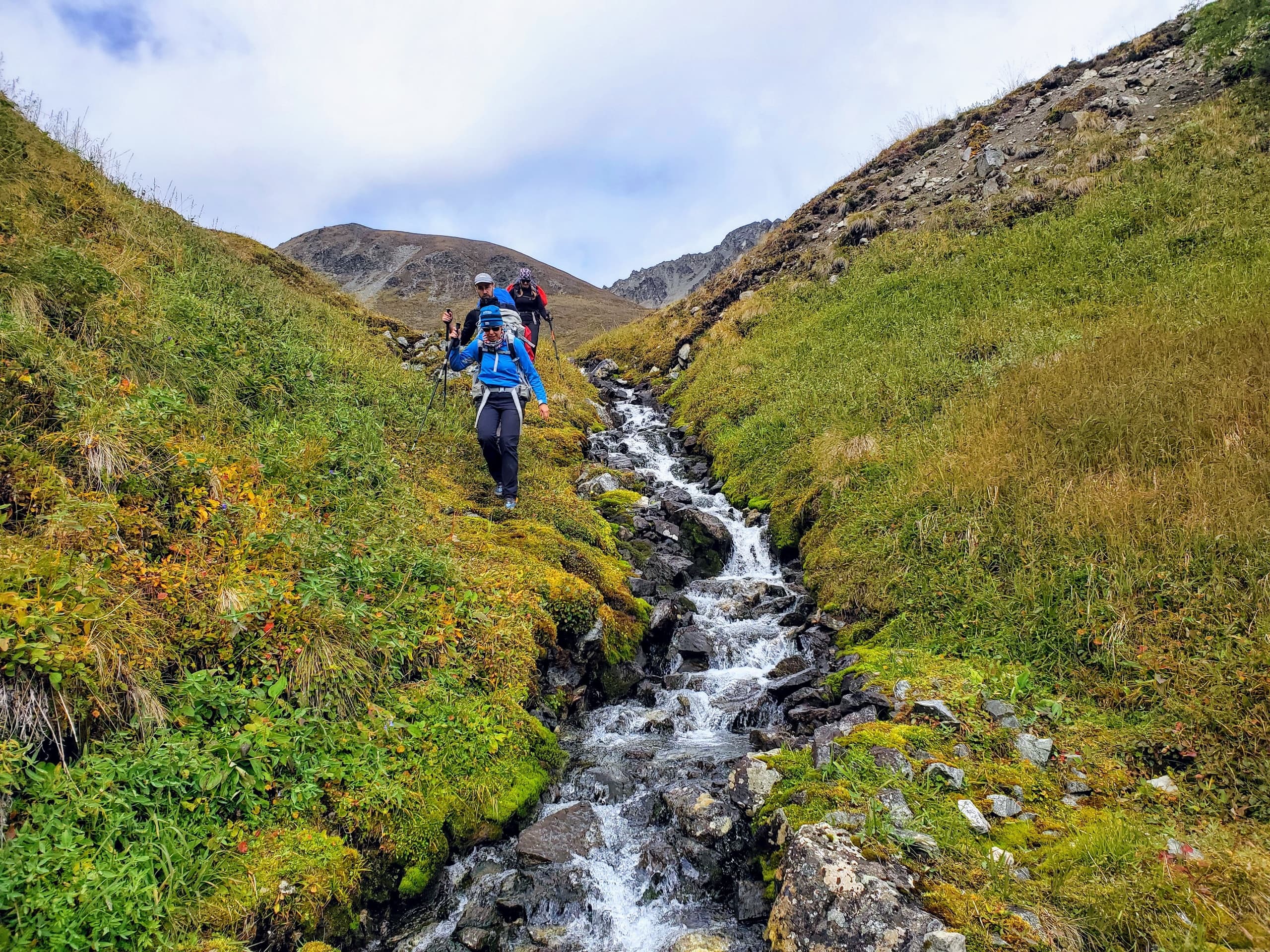 Climbing & Hiking Adventure at Western Mentastas Highline with St. Elias Alpine Guides