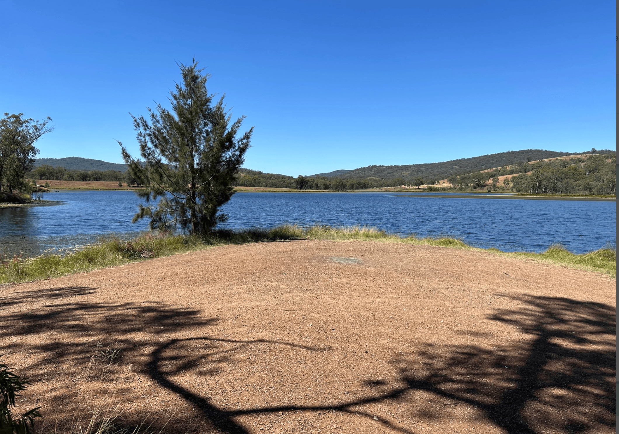 Sandy lakeshore with lone tree for picnics and swimming