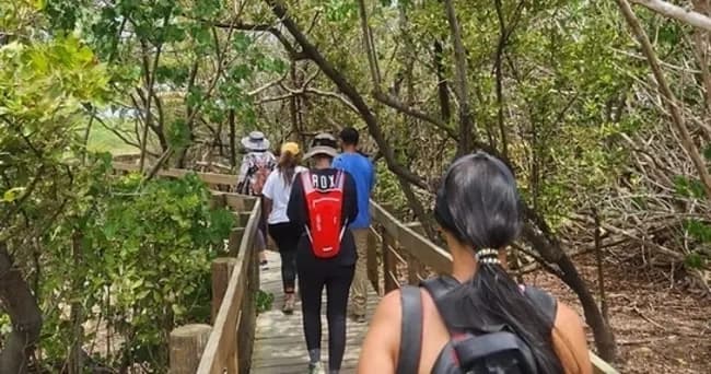 Explore Bosque de Concho: Guided Dry-Forest Tours in Guánica, Puerto Rico