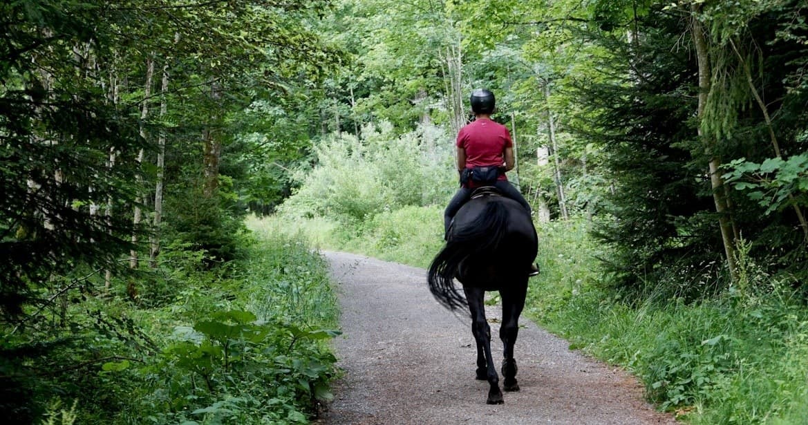 One Hour Group Riding Lessons in Sayreville, NJ