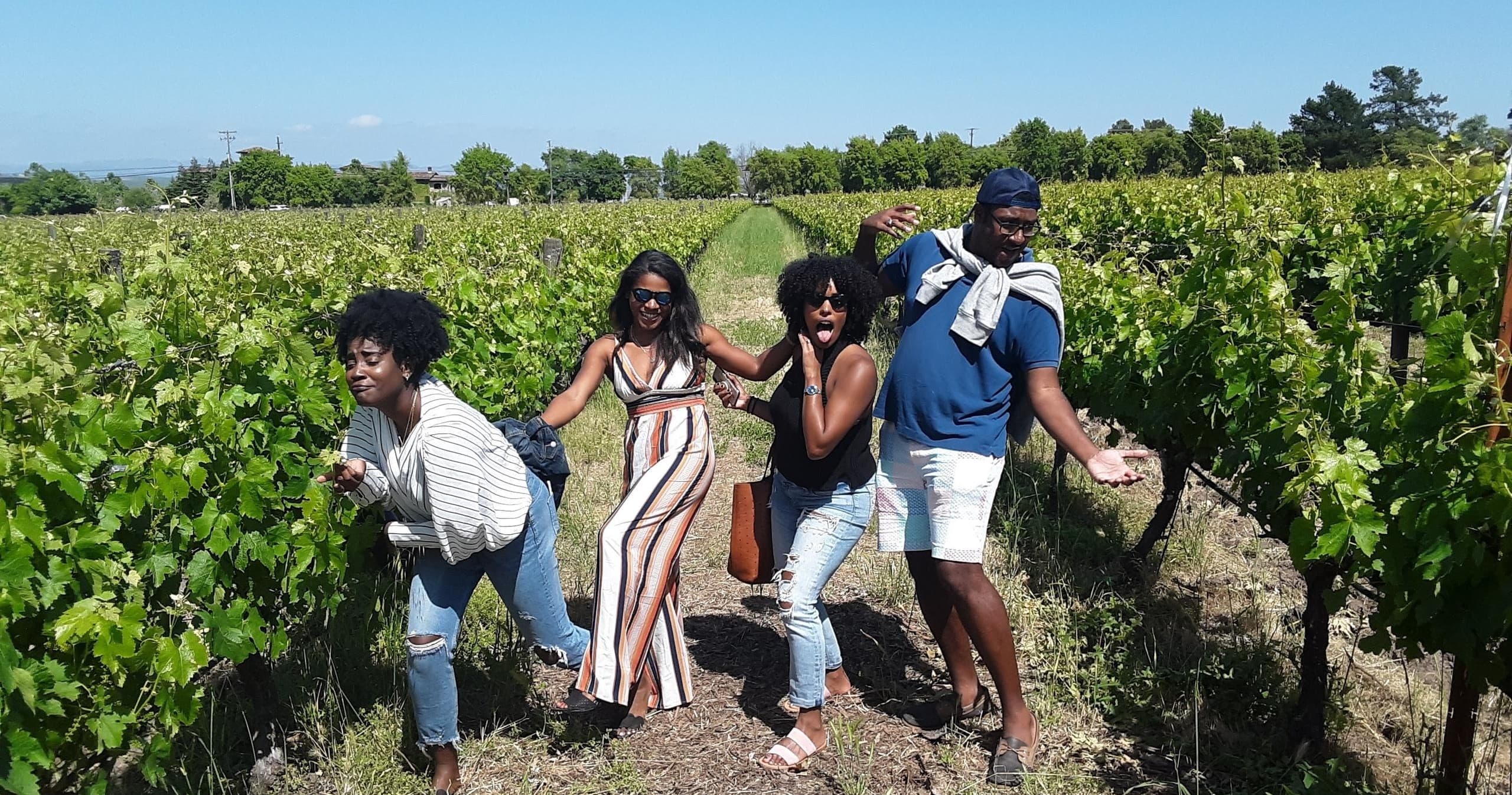 Private Custom Wine Tour in Napa & Sonoma Wine Country