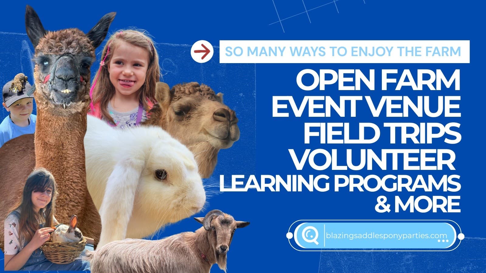 Open Farm: Meet Rescued Camels, Goats & Horses in Fairhaven, MA