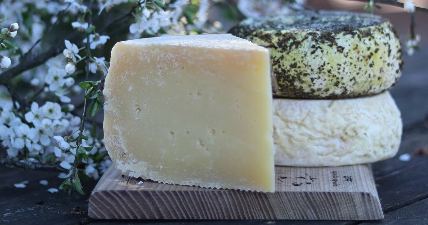 Food & Drink: Exclusive Organic Cheese Tasting at Friuli Farm