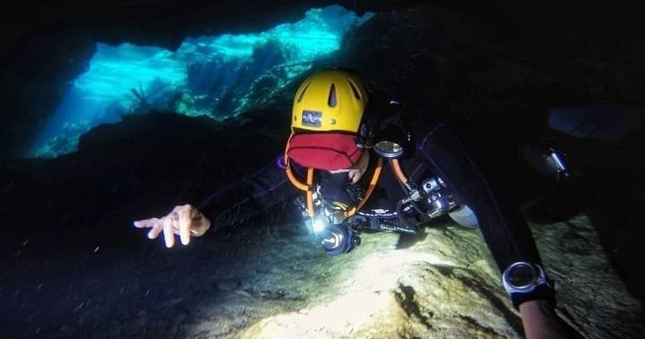Catalina Night Dives: Guided Night Scuba Off Avalon
