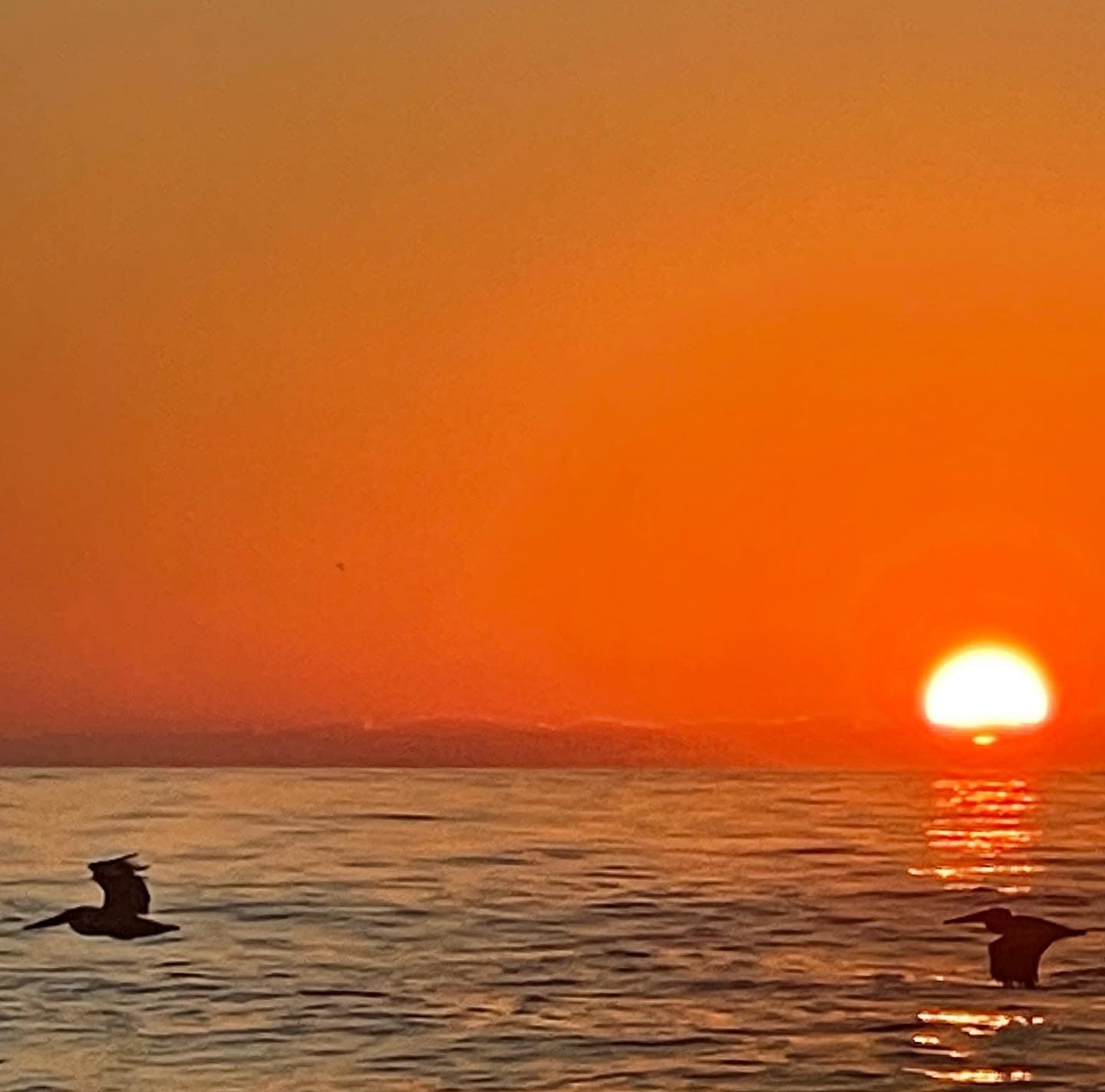 Water-Activities: Power Boat Osprey Sunset Cruise in Folly