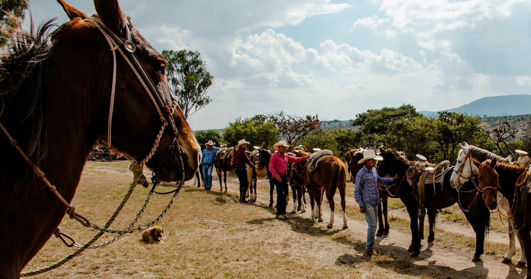 Line of ranch horses and riders against open grassland vista