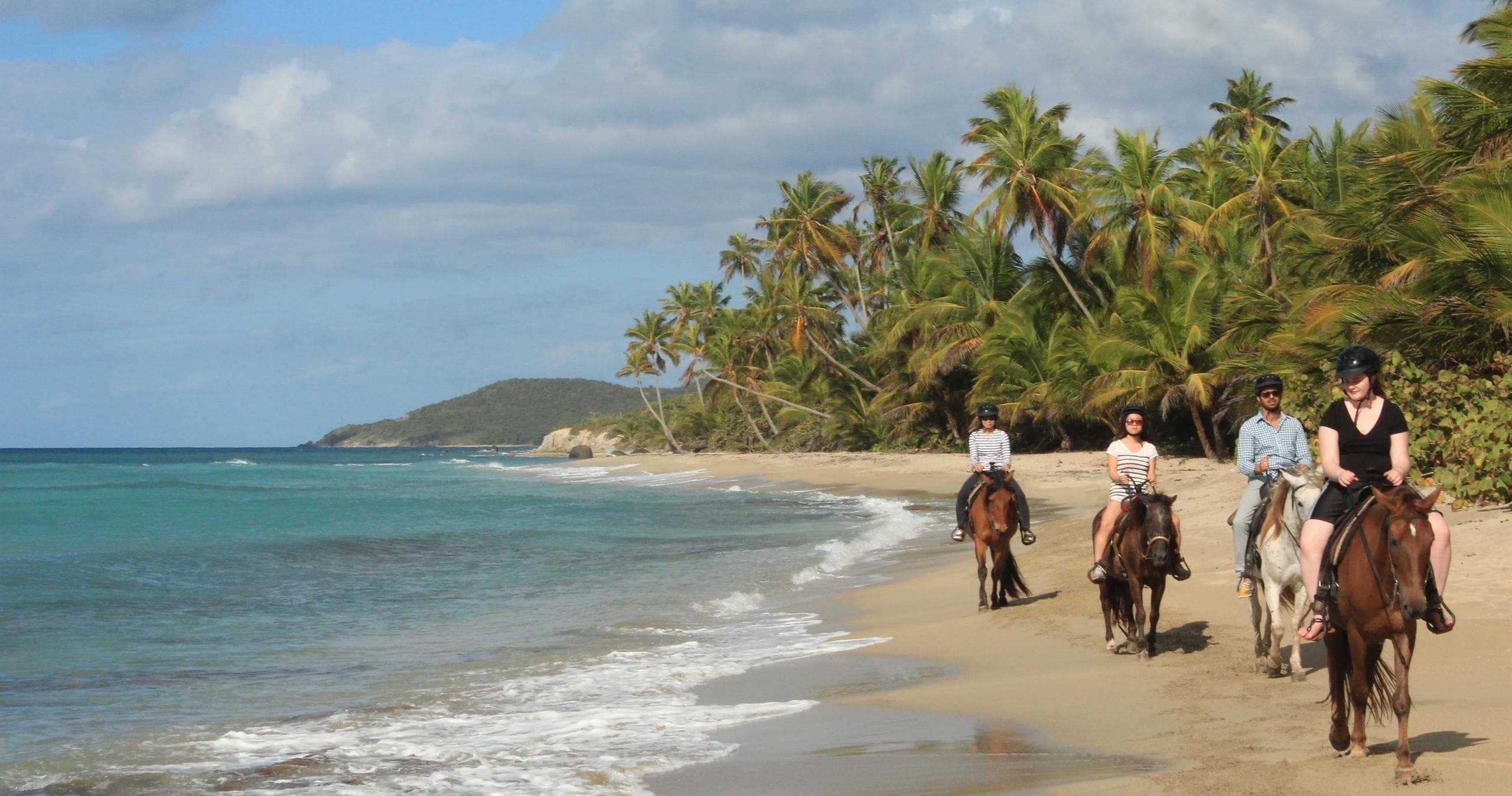 Group Trail Ride Adventure in Esperanza, Vieques