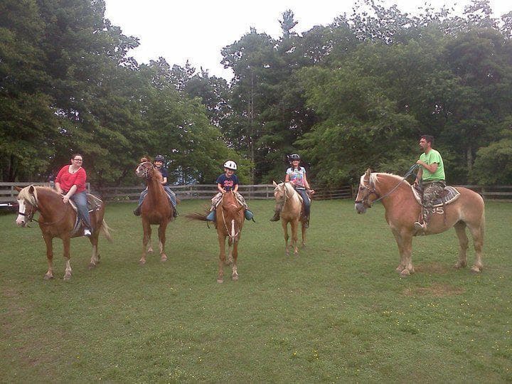 Ride Through Flame Azaleas and Fern Forests at Cullowhee’s Arrowmont Horse Farm
