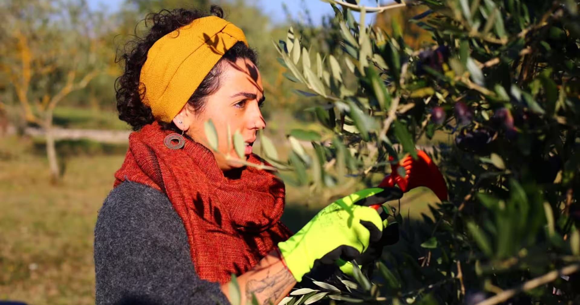 Tuscan Olive Oil Experience | Guided Tour in Grassina | Food Tour, Farm
