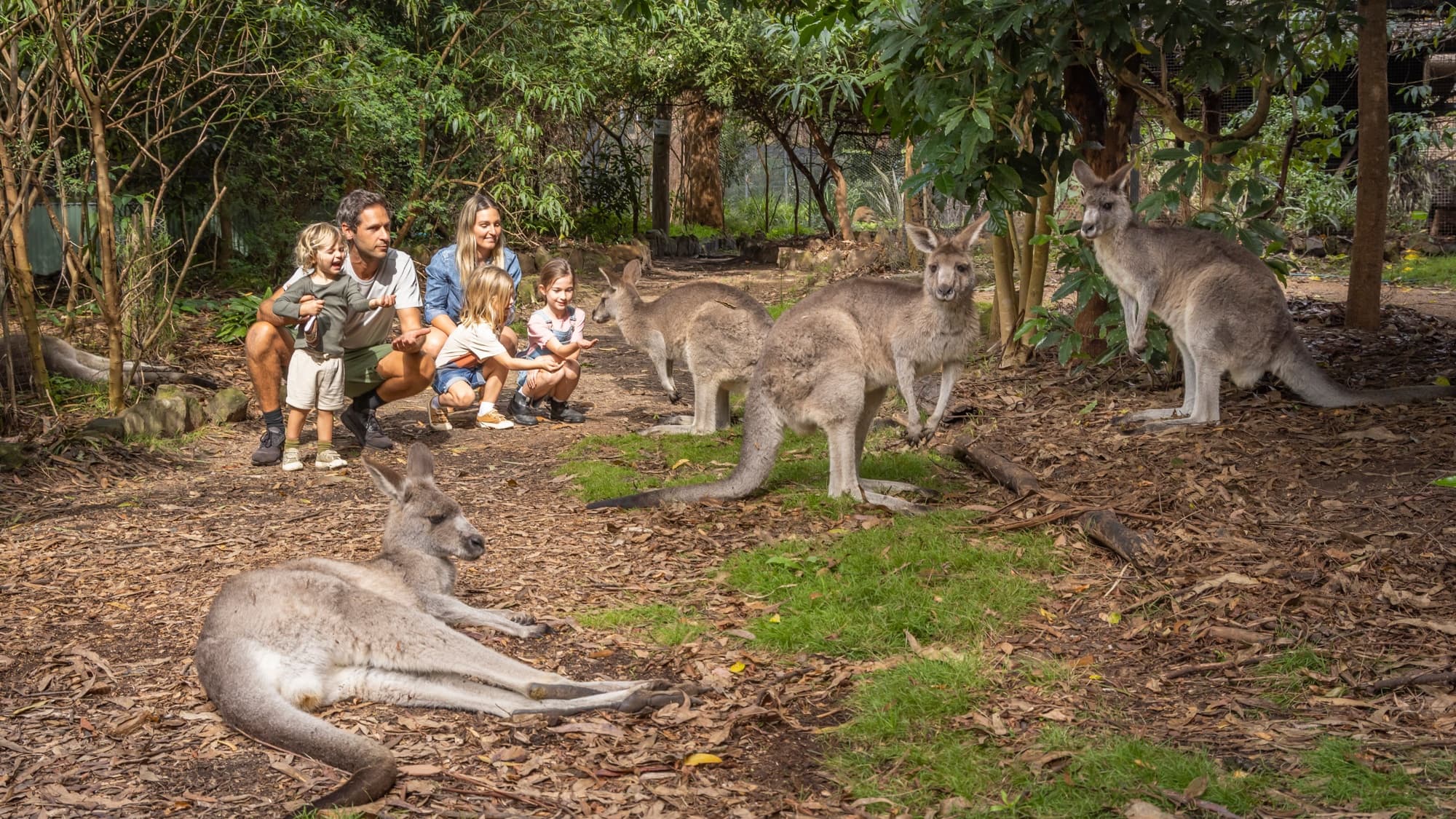 Wildlife & Coastline Tours with Navigate Expeditions in Eden