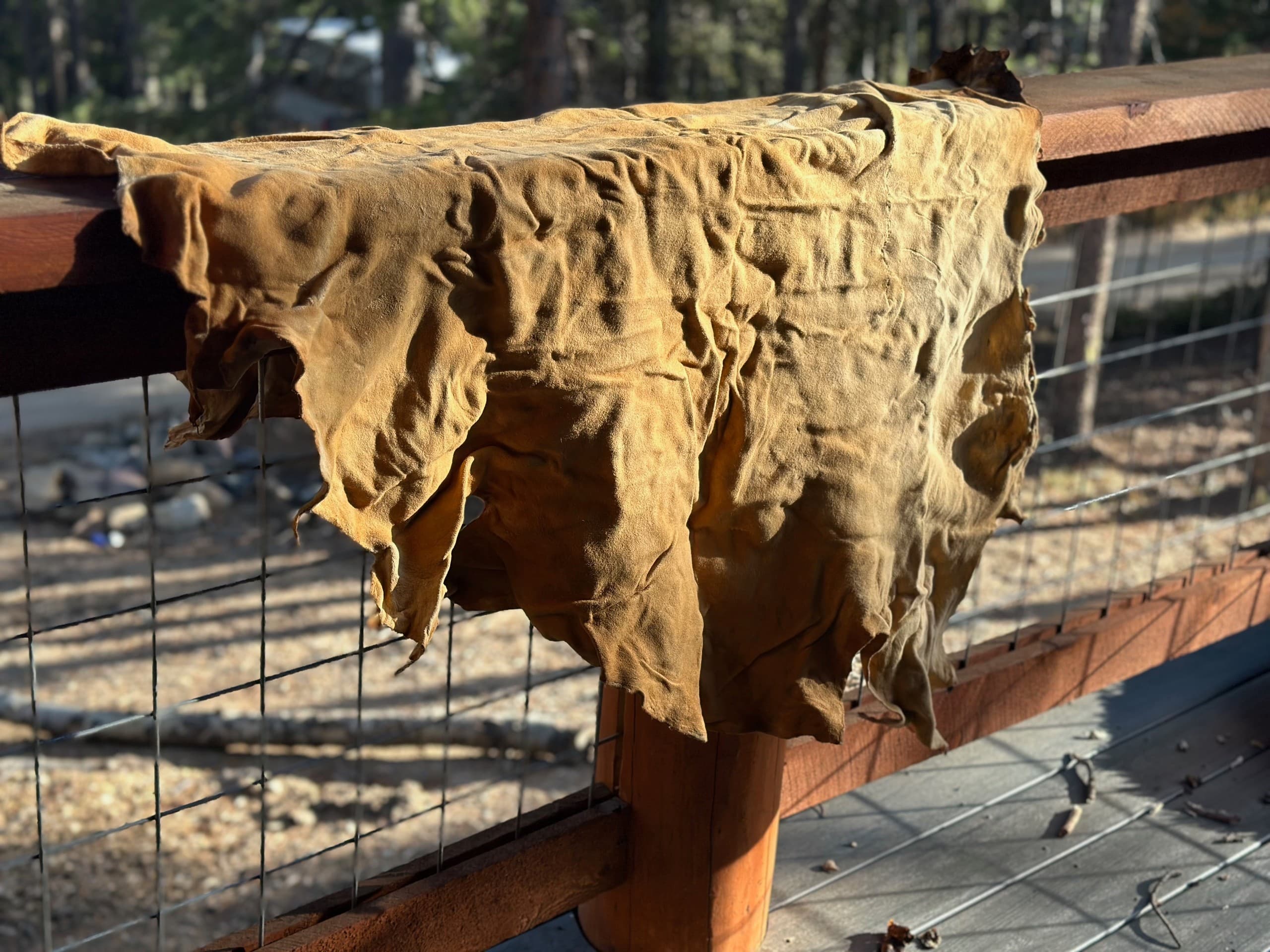 Learn Buckskin Braintanning: Hands-On Traditional Workshop in Kremmling, Colorado photo 2