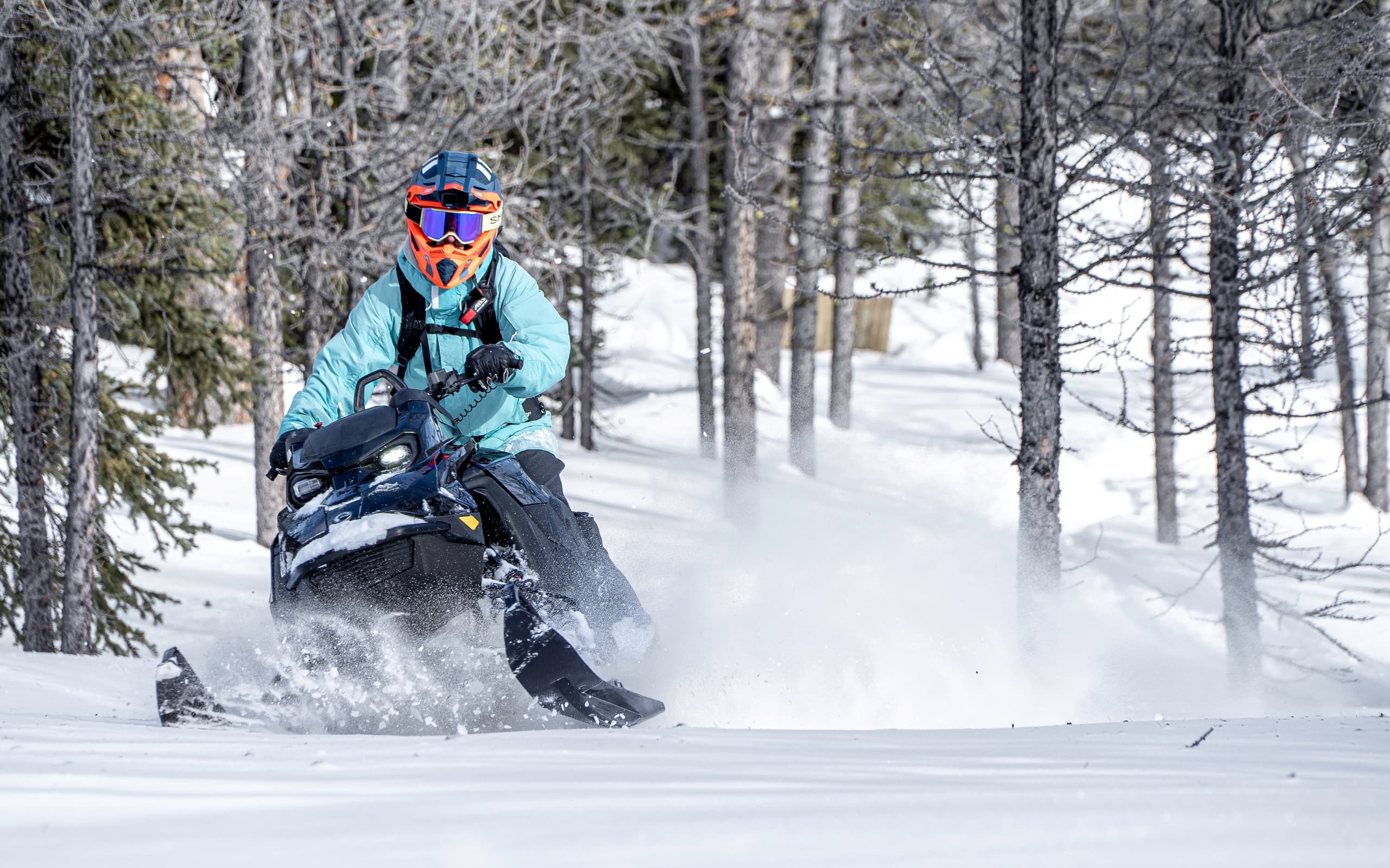 Powder X: High-Performance Snowmobile Tour at Toby Creek Adventures in Panorama, BC photo 2