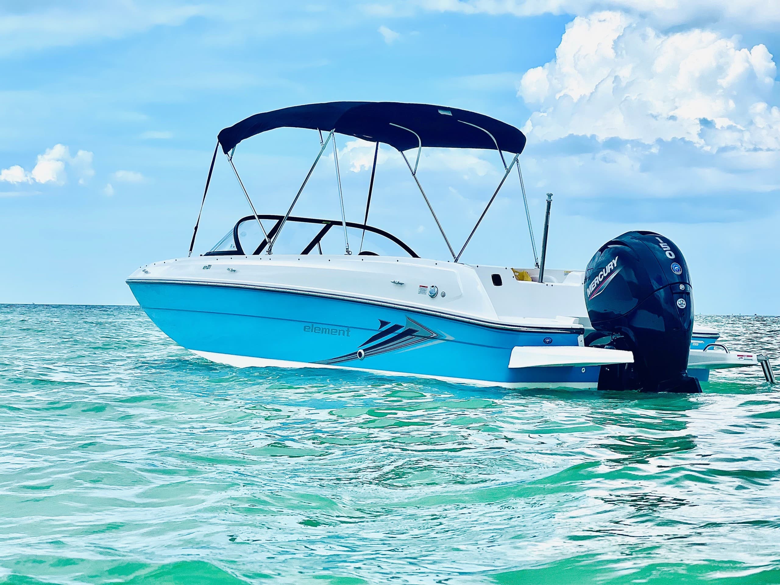 Sandbar Days and Dolphin Cruises: Silver Wave - Bayliner Pontoon Rentals in Holmes Beach photo 1