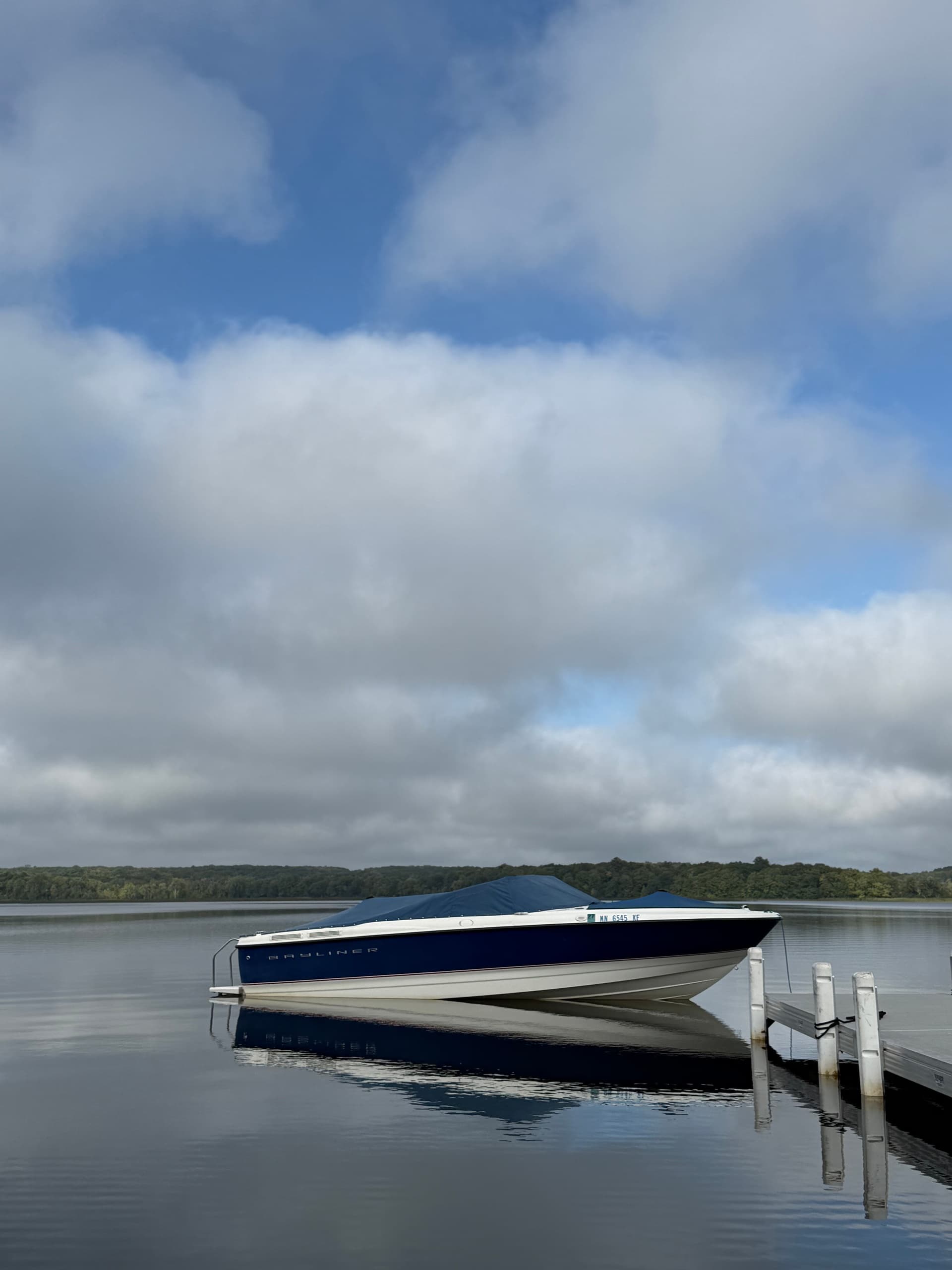 Explore Lake Carlos Aboard the Bayliner: A Premier Boating Adventure in Minnesota