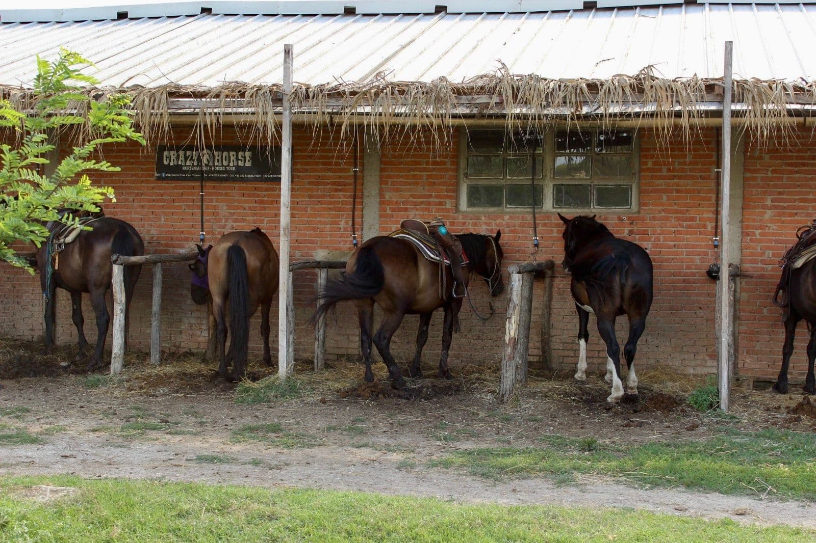 Land Adventures with Keys of Italy: Horseback & Wine in Chianti