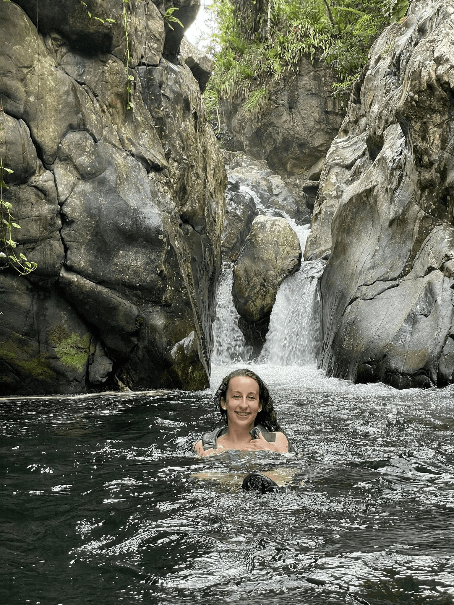 El Yunque Rainforest Tour with Carlos Alfredo Tours