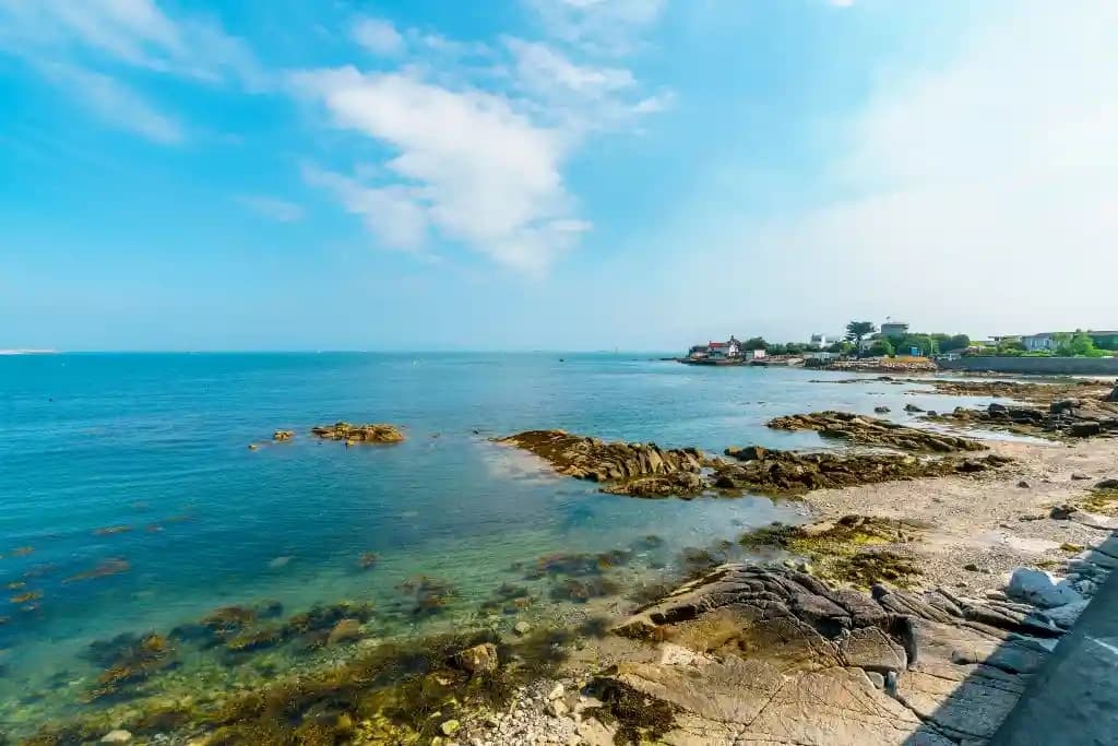 Sea Safari in Dublin Bay with Dalkey & Muglins Islands