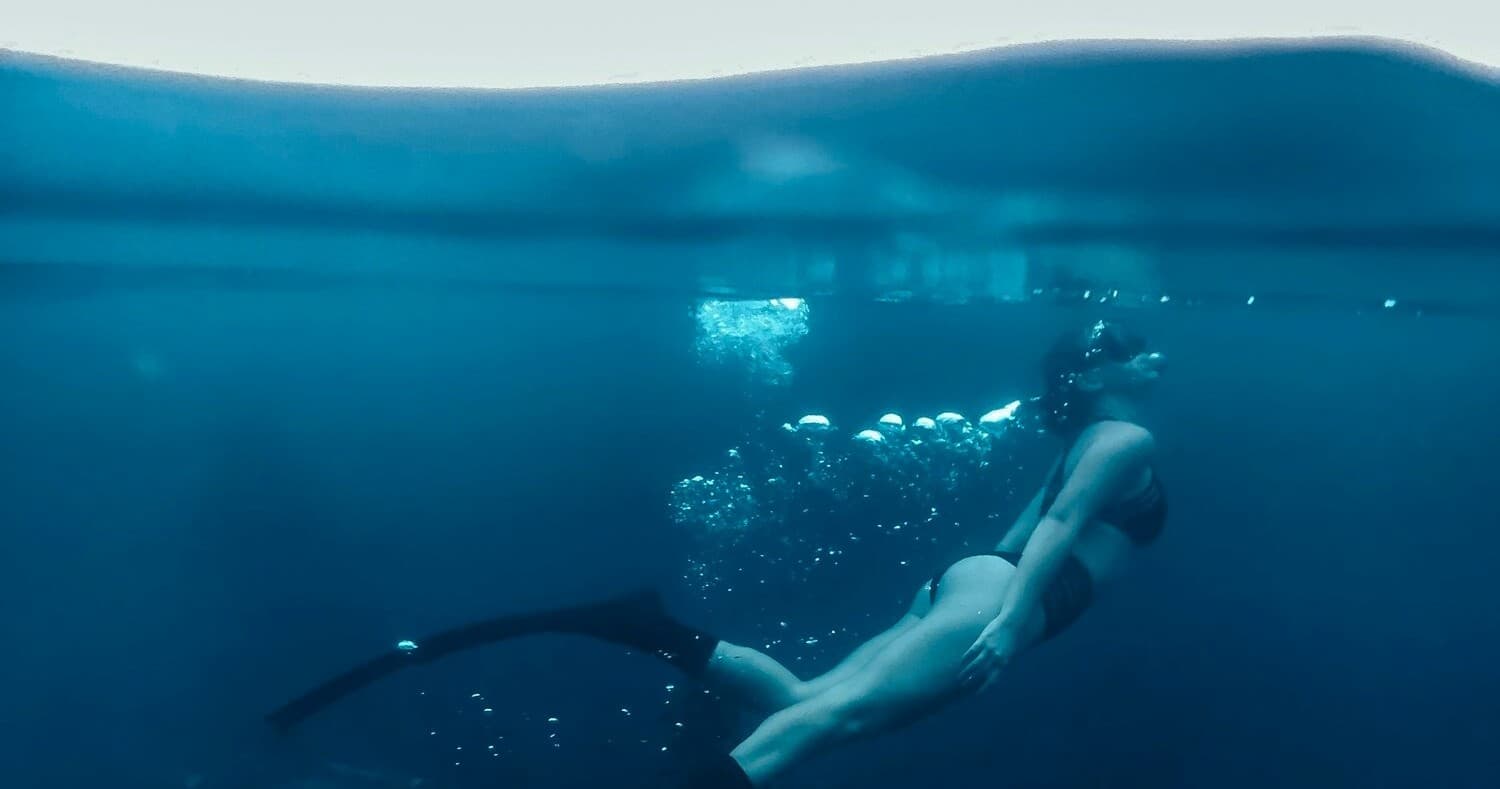 Beginner Snorkeling in San Juan with SCUBA DVNG