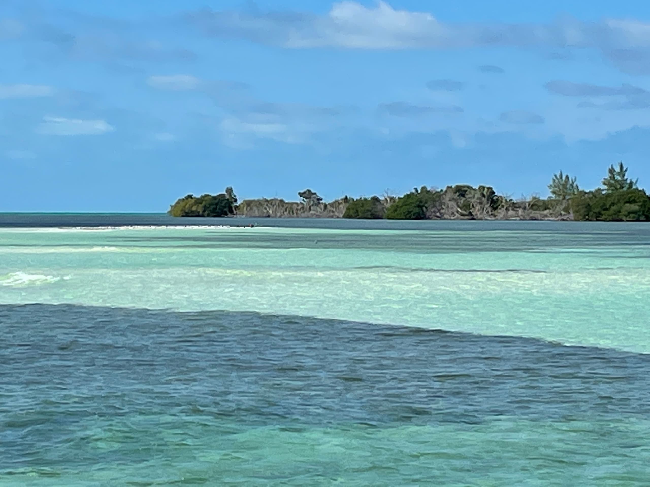 Shared Sandbar Trips in Key West, Florida