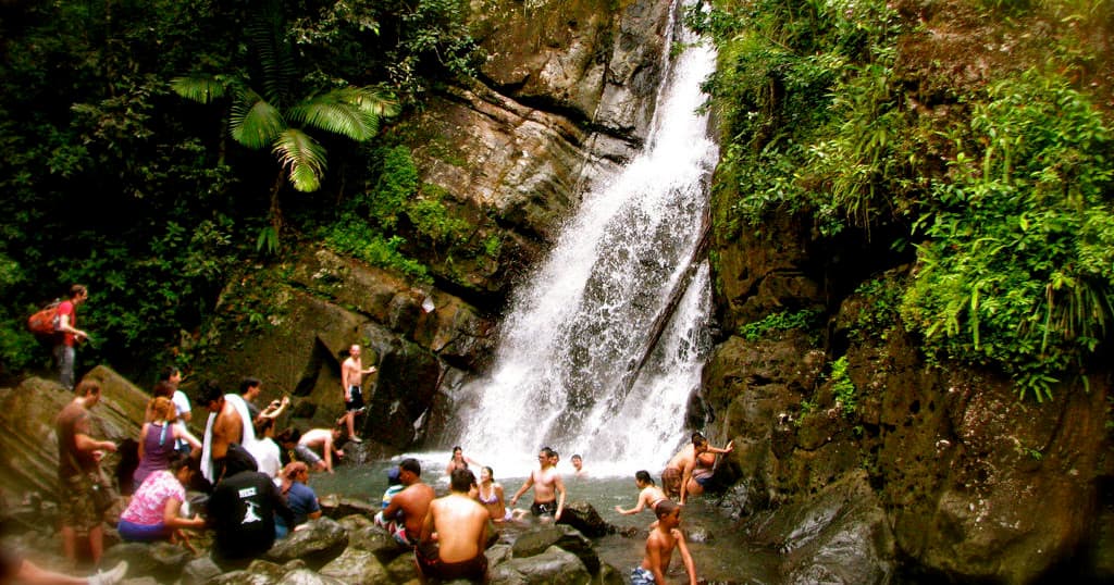 Group gathered at tropical waterfall pool for swim and view