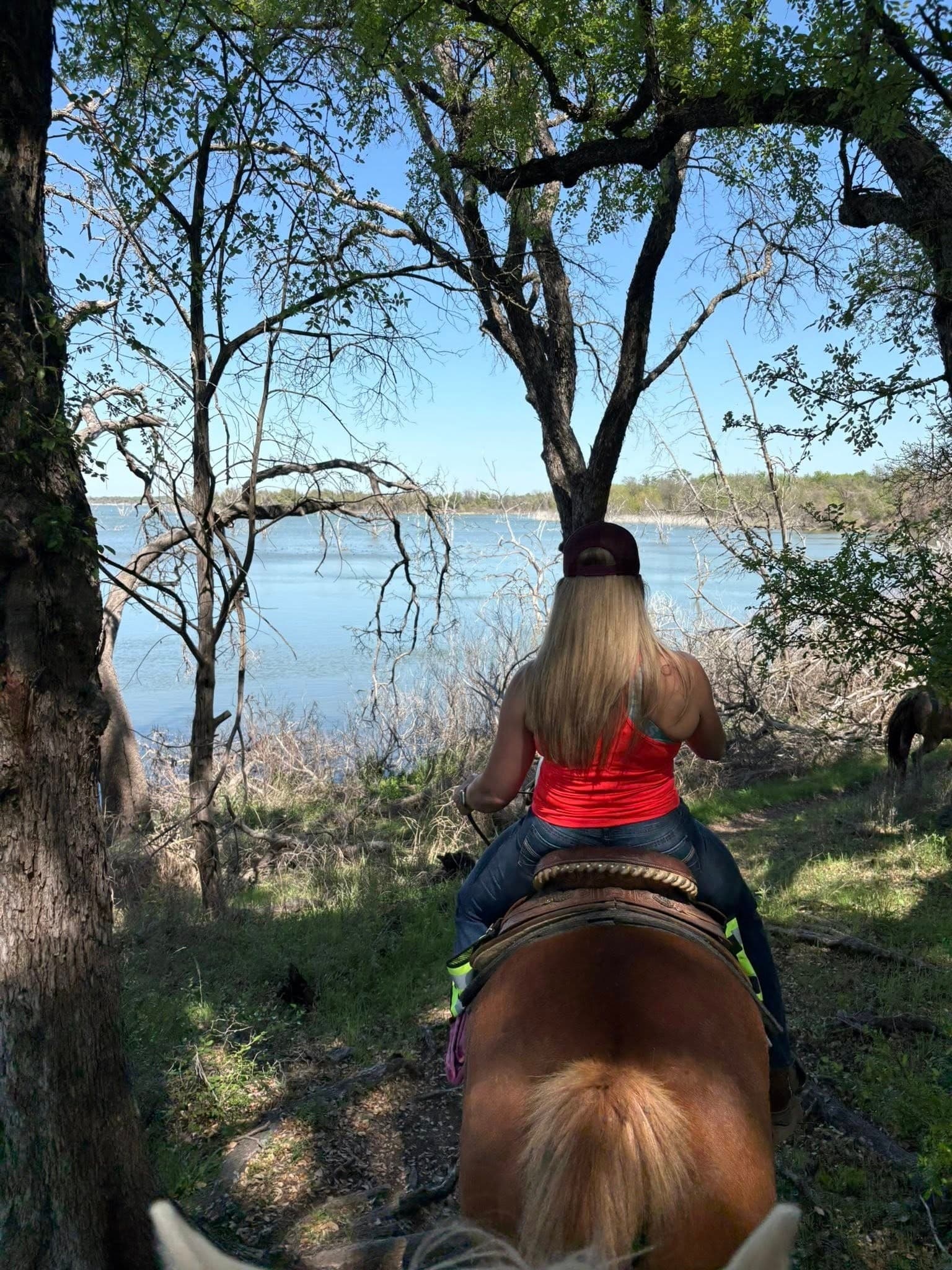 Sandy Shore Gallop: 1-Hour Lake Waco Guided Horseback Ride