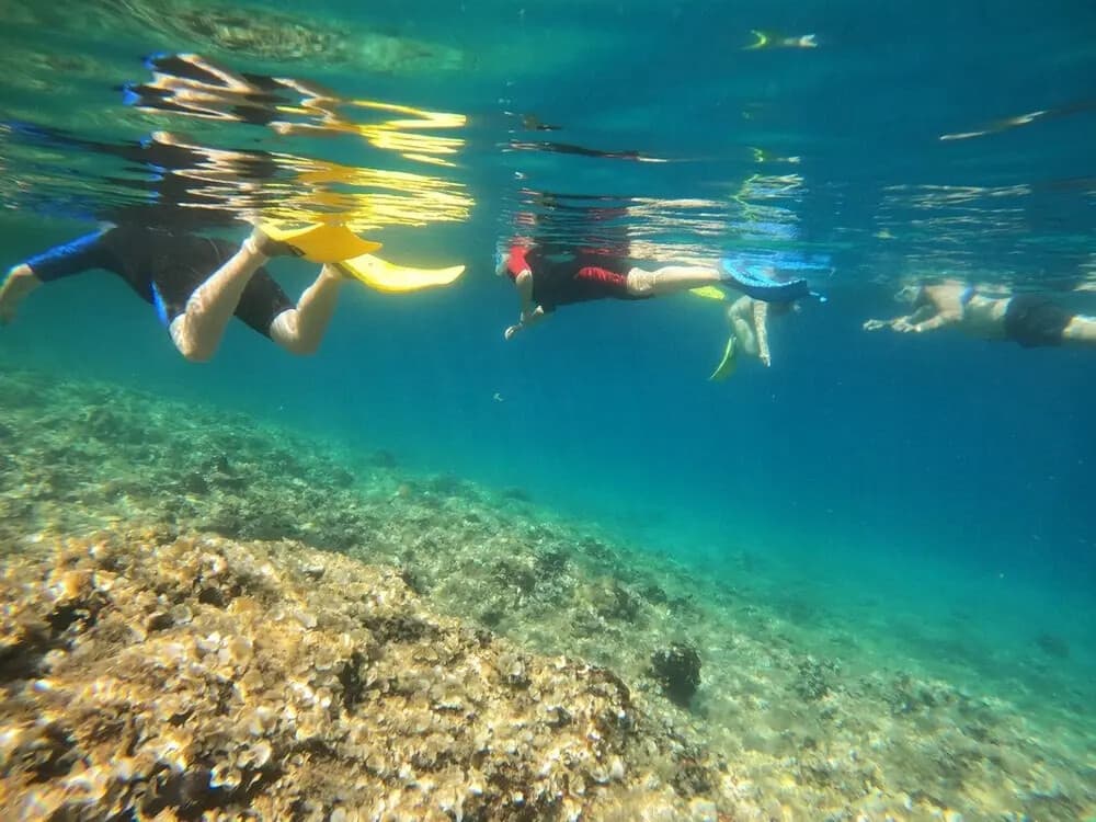 Snorkel the Bays of Marathon Cape: Schinias Bay Small-Boat Adventure