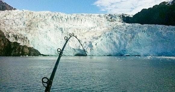 Half Day Fishing & Sightseeing in Seward, Alaska