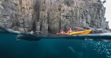 Tasman Peninsula Kayaking with Roaring 40's Kayaking