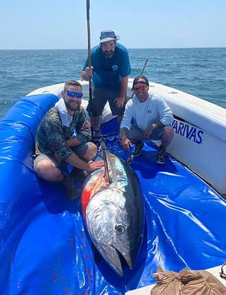 Giant Tuna Fishing with Dying Breed Sportfishing in Massachusetts