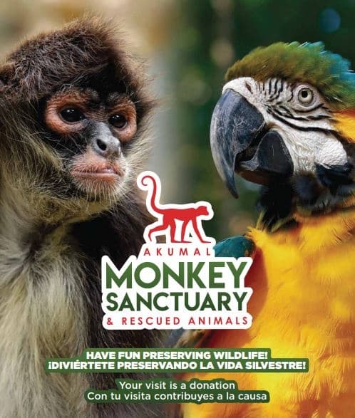 Wildlife & Nature Tour at Akumal Monkey Sanctuary by Rosa Tours