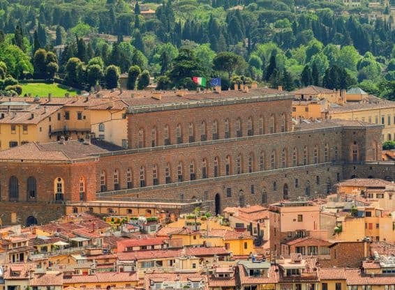 Palazzo Pitti Priority Access with City Florence Tours