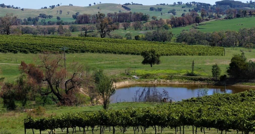 Scenic vineyard with pond and rolling hills for countryside strolls