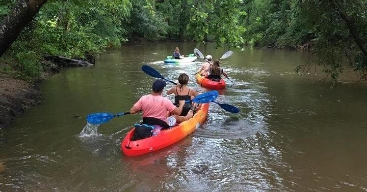 Three Hour Kinchafoonee Creek Kayak Trip in Albany, GA