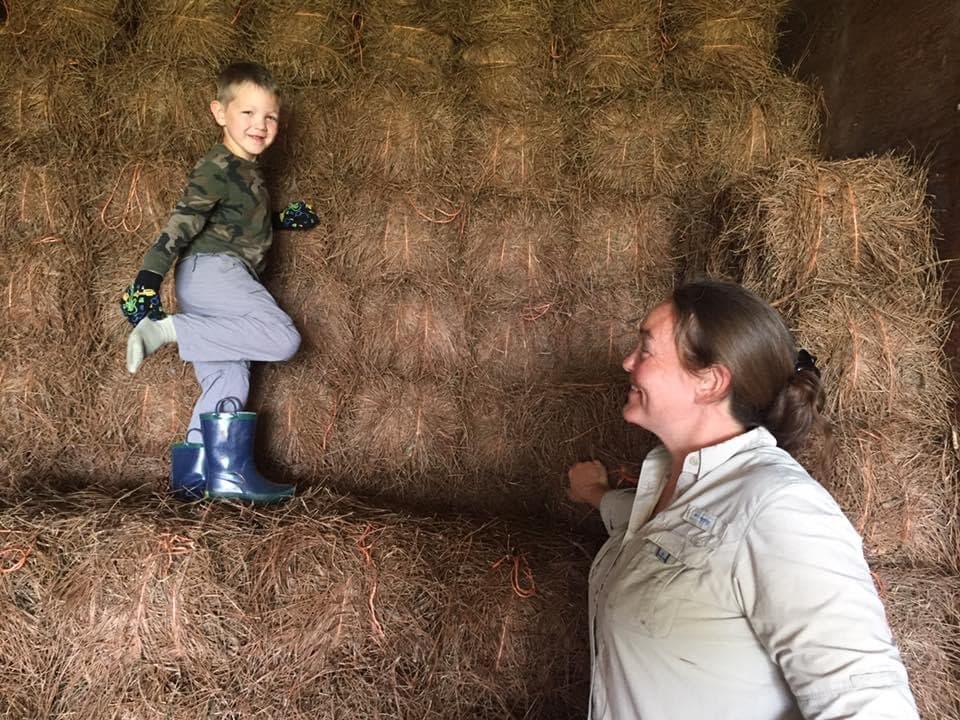Land Adventures with ADAM'S EARTH: Pinestraw Delivery