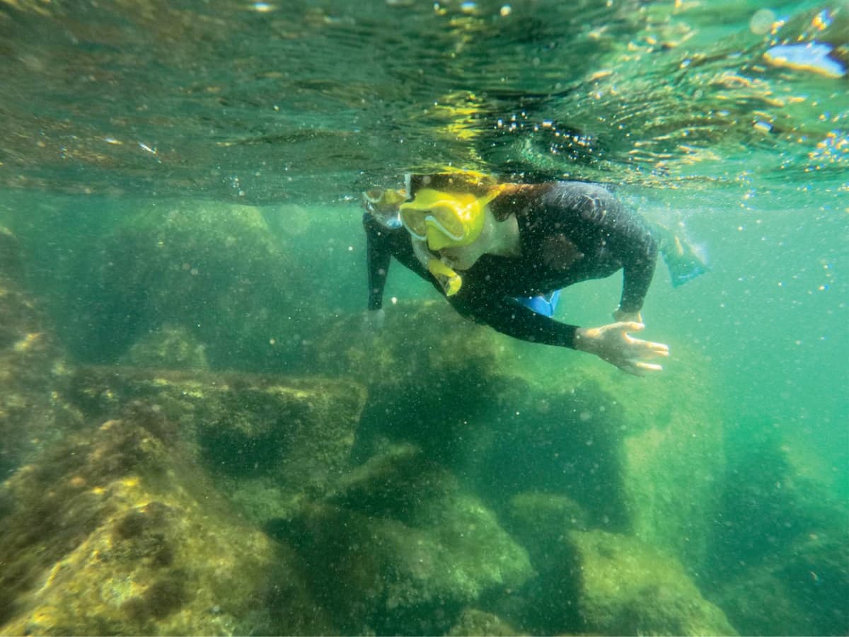 Explore the Vibrant Marine Life on the Discover Snorkeling Tour in Panama City, Florida