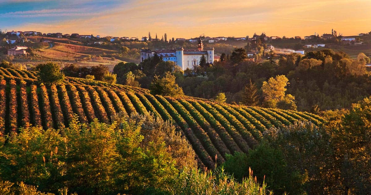 Vineyard rolling hills at sunset for Napa wine country tour