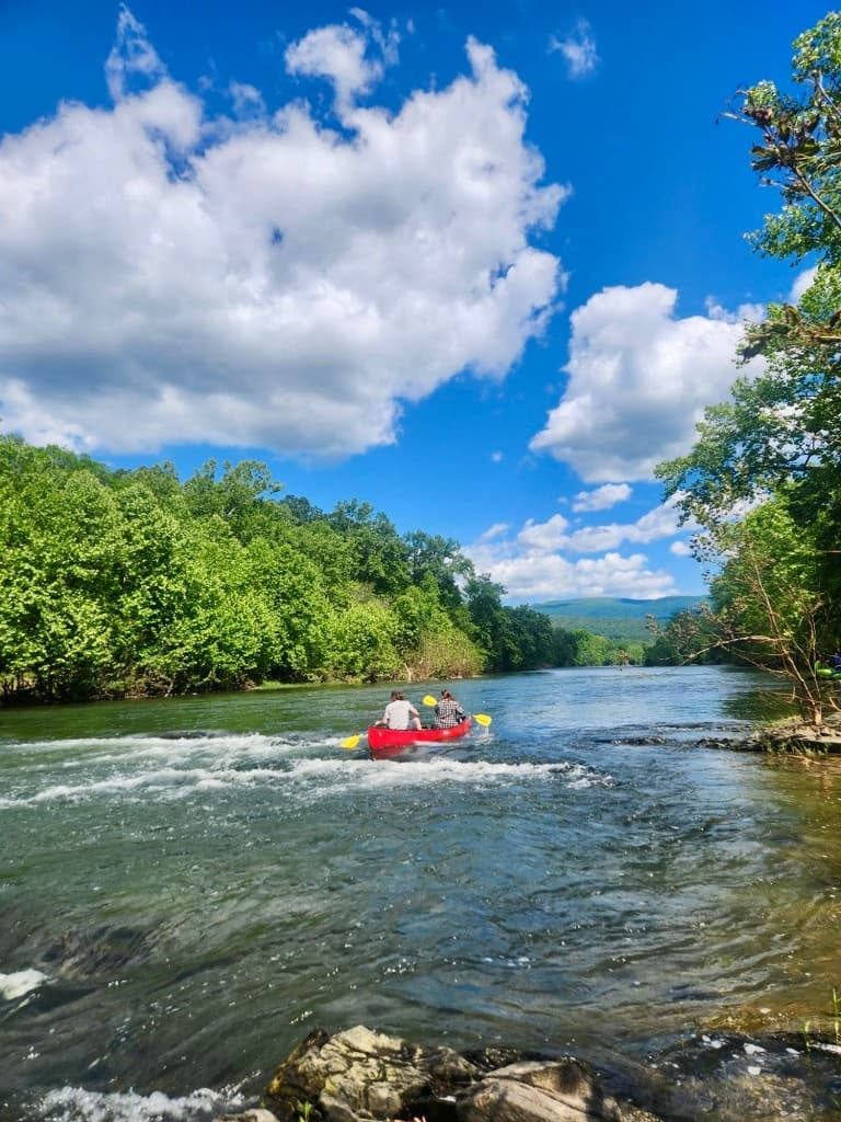 Water Activities at Shenandoah River Outfitters: Scenic Beginner Day Trip