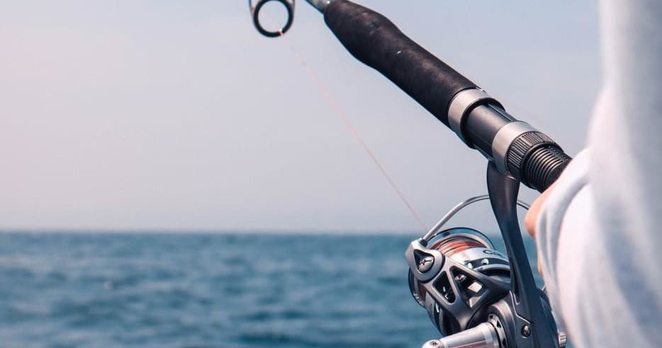 Fishing Adventures with Salema Tours in Algarve, Portugal