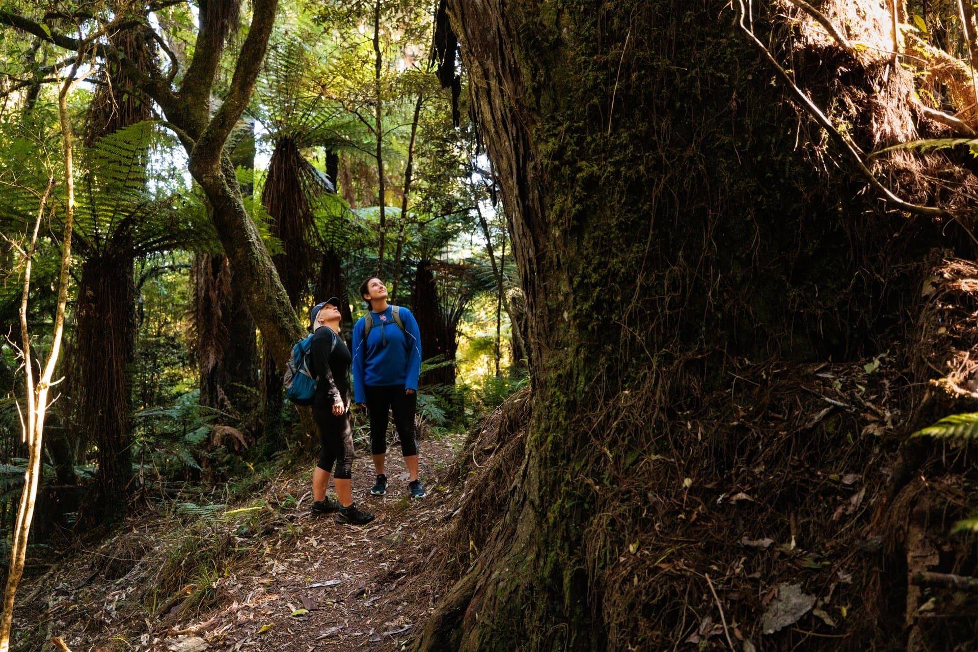 Explore Lake Taupo’s Supervolcanic Trail Network with Transfers K2K