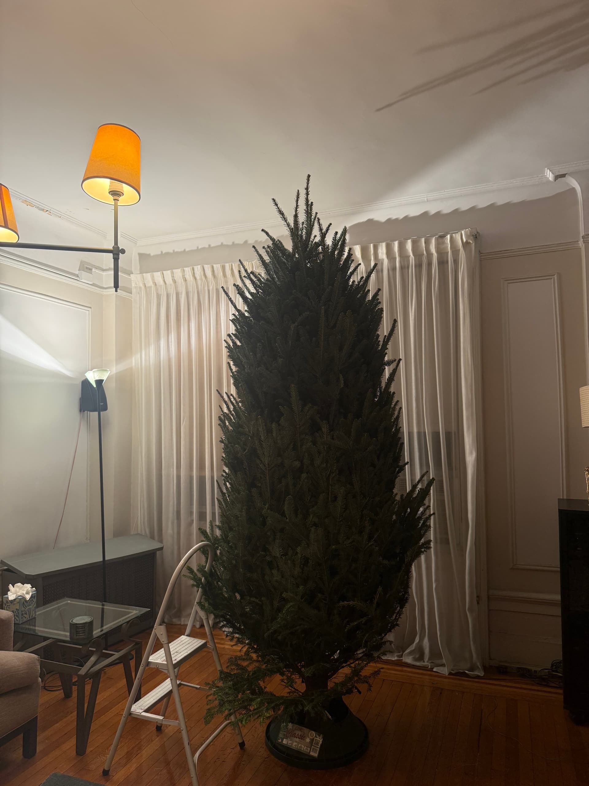 Edgewater Christmas Tree Delivery: Kevin’s Tree Lot Premium Contactless Setup