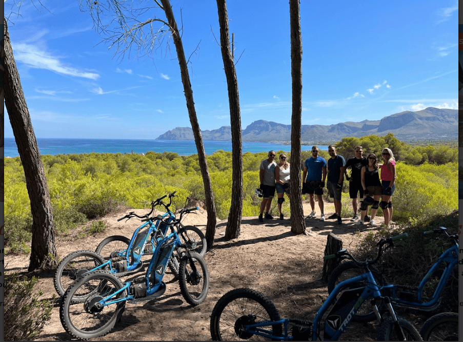 Guided e-bike coastal tour through pine forest with sea overlook
