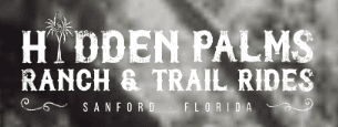 Wild Sunflower Ride: Horseback Through Lake Jesup's Fall Blooms photo 1