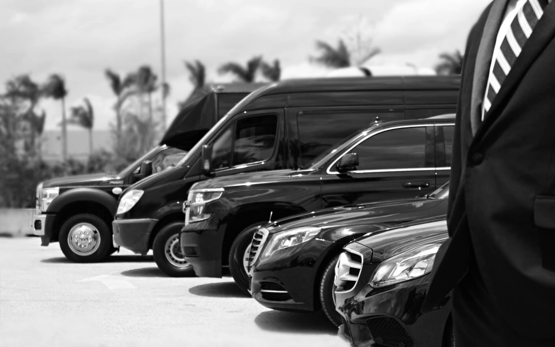 Line of parked black SUVs and sedans near palm-lined port
