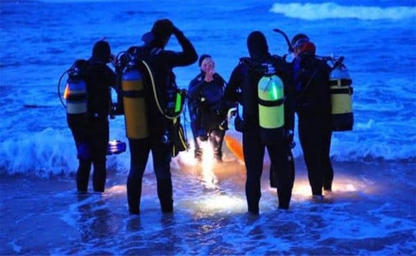 Night Dive Adventure with Ohana Diving in Cala Llobeta