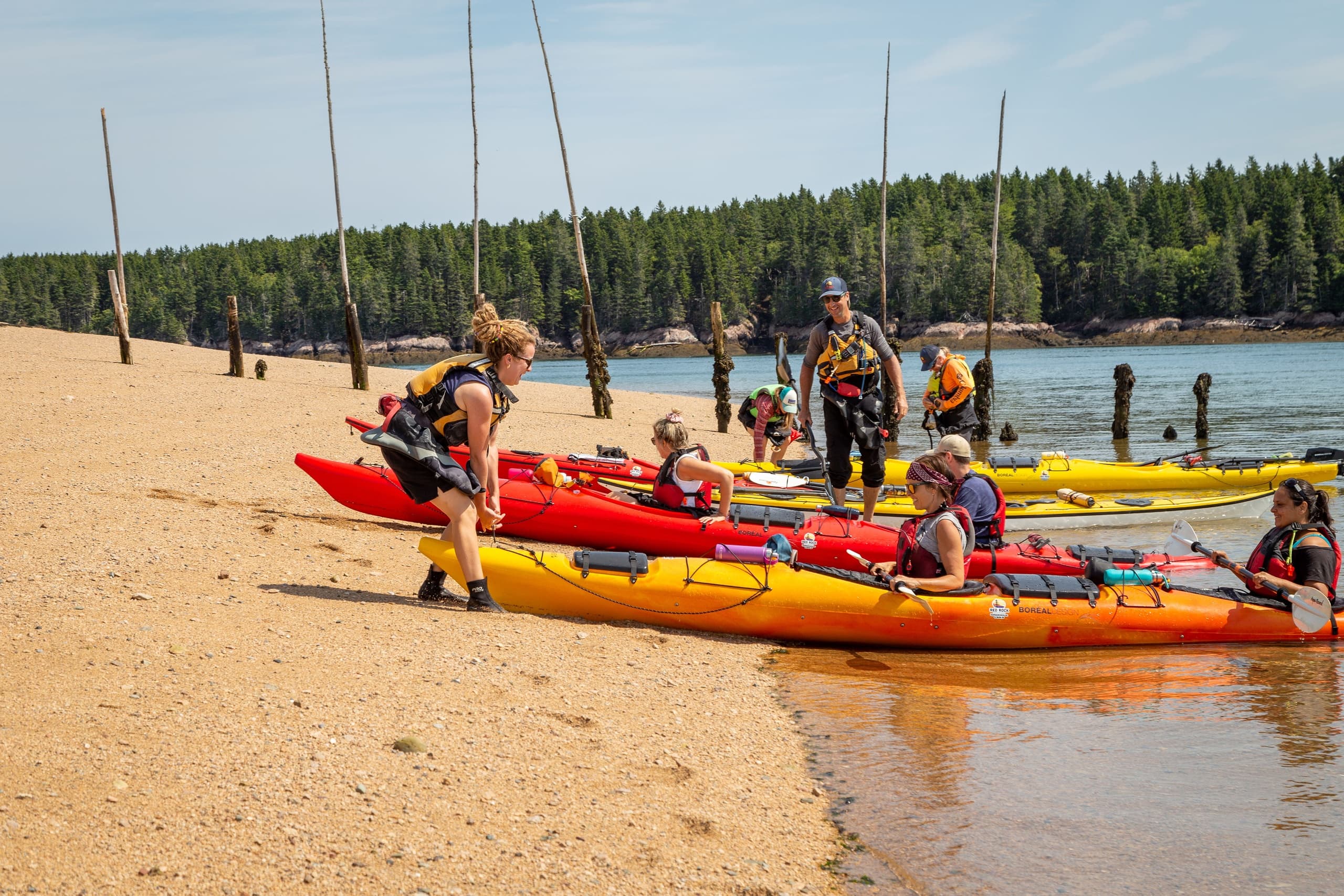 Fundy Isles Sea Kayaking Adventure from Saint Martins, New Brunswick photo 2