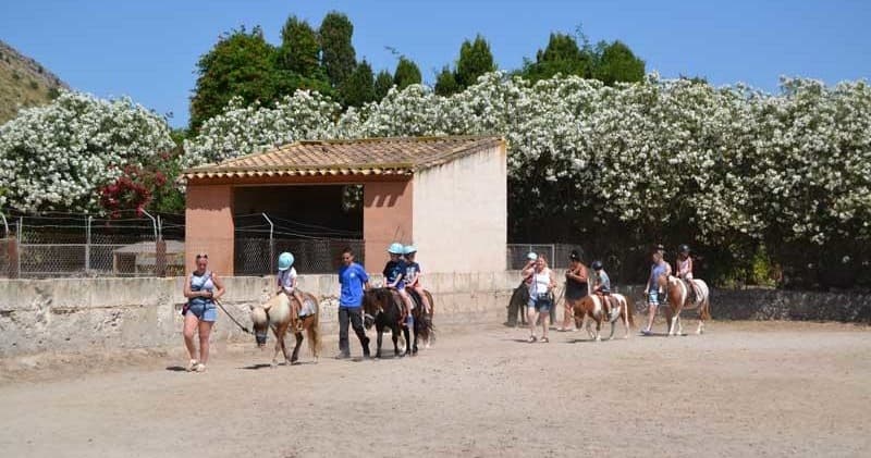 Horseback Riding at Ranxo Ses Roques in Pollença