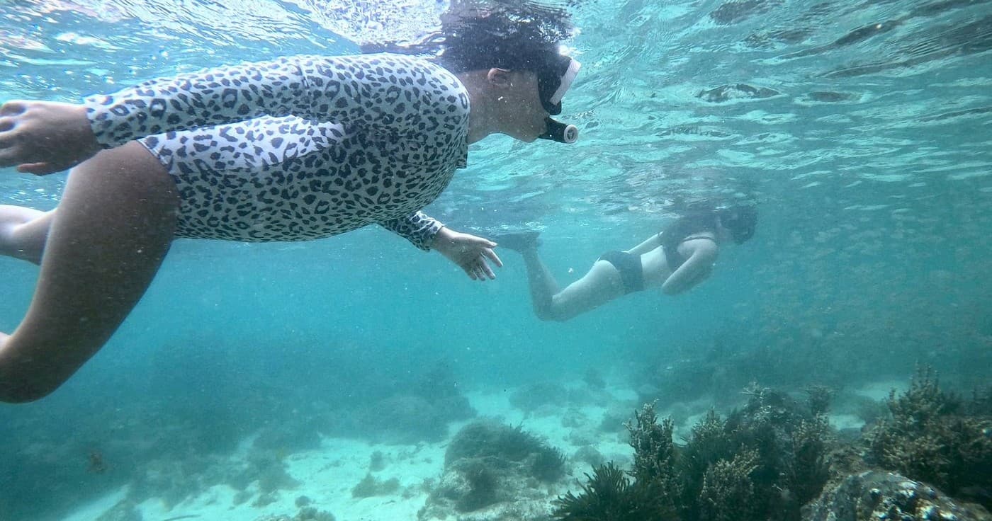 Snorkelers swimming over coral reef in clear tropical sea