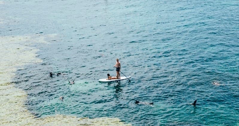Paddleboarder on open turquoise ocean near coral reef